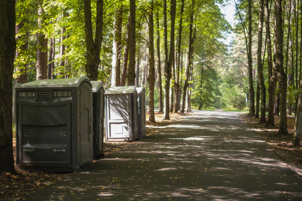 Best Local porta potty services  in Edenton, NC